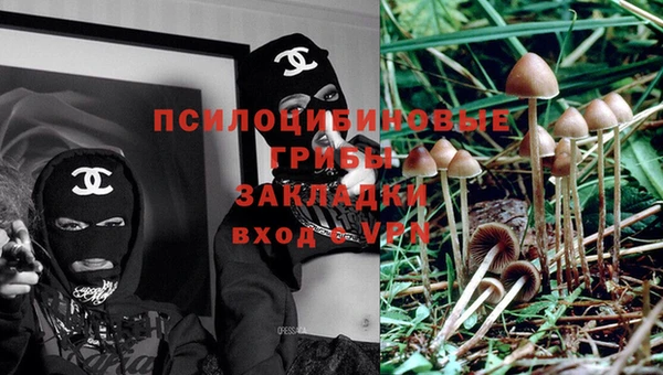 2c-b Абаза