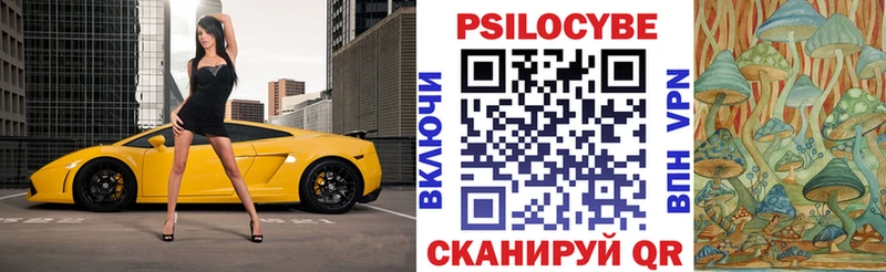 купить закладку  Чкаловск  Псилоцибиновые грибы прущие грибы 